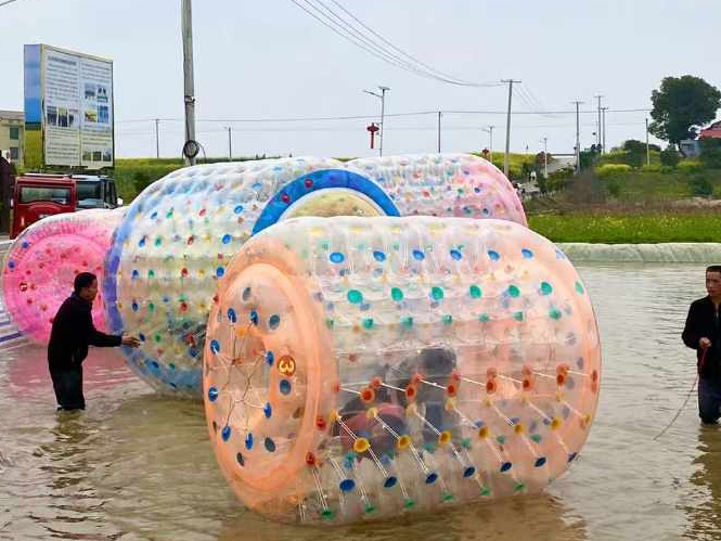沅江市琼湖街道保民村：“花间经济”解锁乡村振兴密码