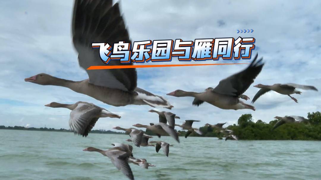 ǰȣ佭԰ǲӡ׷ͧ衭Χۣ