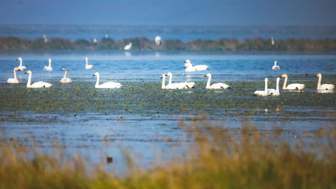 �Ӹ߿յ�ǳ̲���������϶�ͥ����ķֲ�����ͼ��