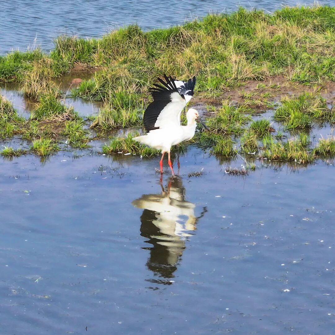 �ز�ס�ˣ��϶�ͥ���� ���������š���ȫ�ǹ���һ������ѡ��