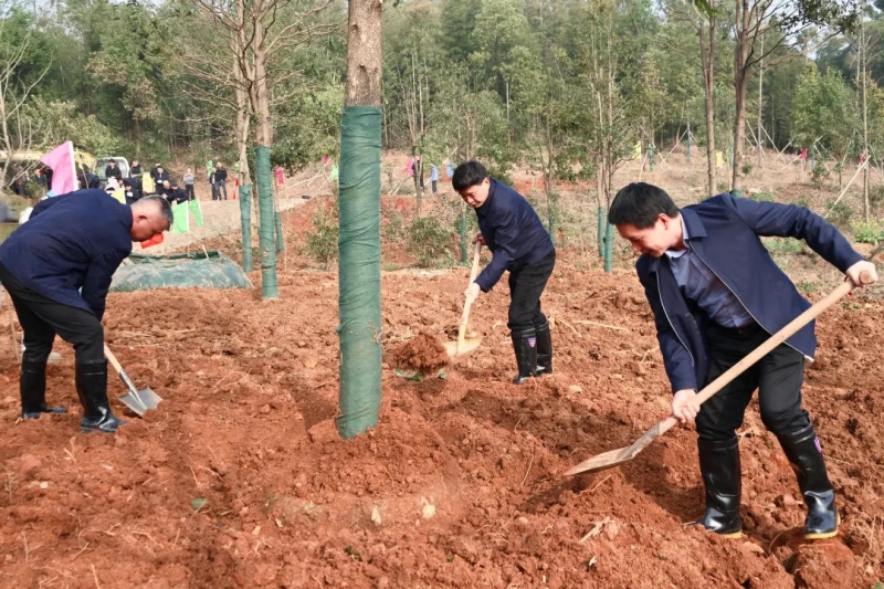 �佭�п�չ����ֲ��� �ޱ�ʤ�ν�������μ�