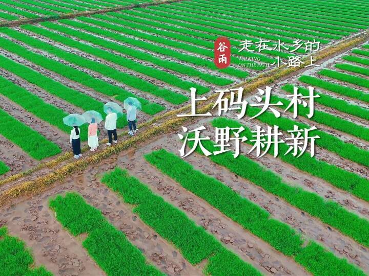 ����ˮ���С·�� | ����•����ͷ����Ұ����