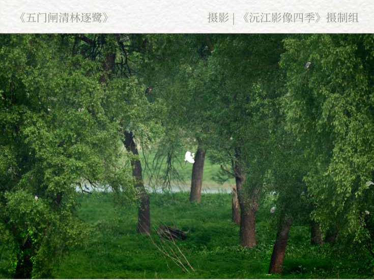 ��������� | ����բ��������