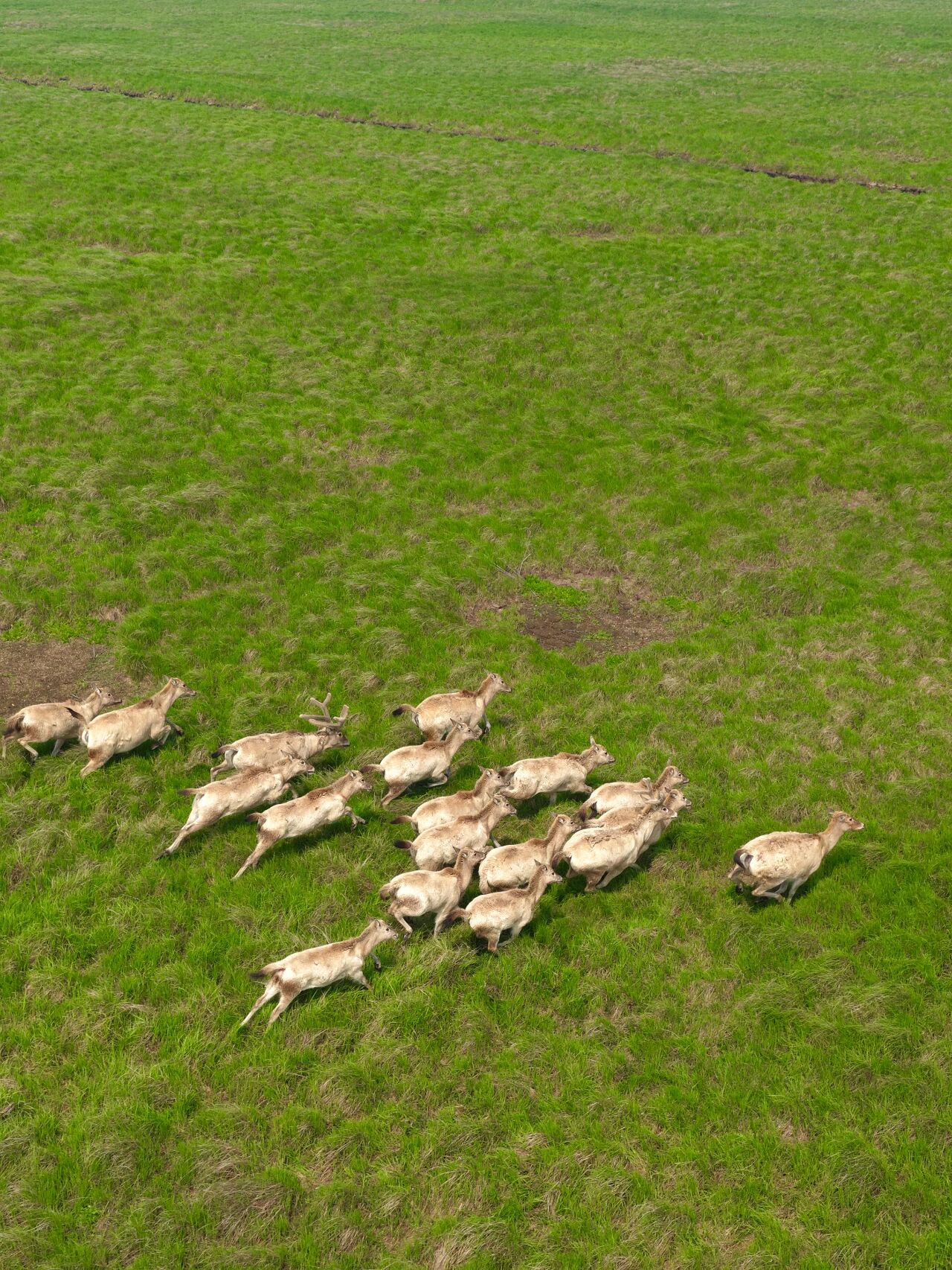 ��ʪ�ؾ��顱�������϶�ͥ��¹��Ƭ����