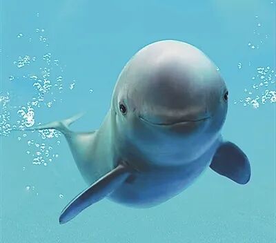 ����ʡ�����У����ػ���ͥ��΢Ц��ʹ��